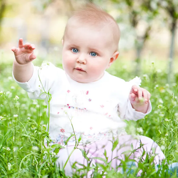 Bebê bonito no prado — Fotografia de Stock