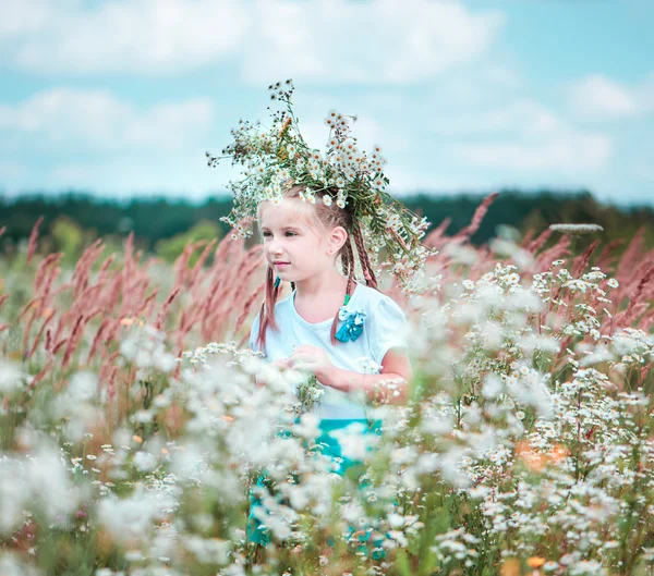 Kleines süßes Mädchen auf dem Feld — Stockfoto
