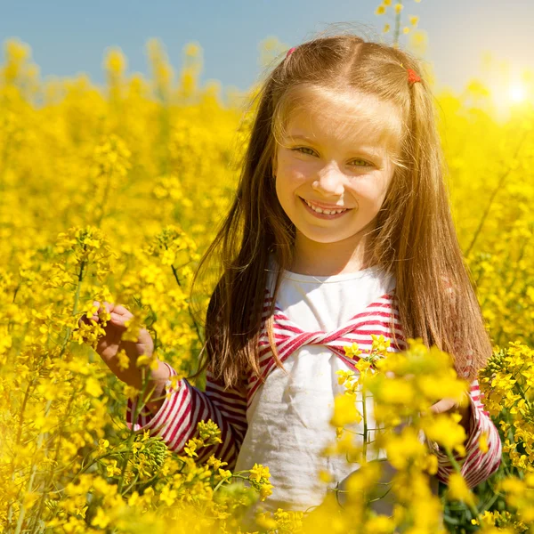 Schattig klein meisje in een veld — Stockfoto