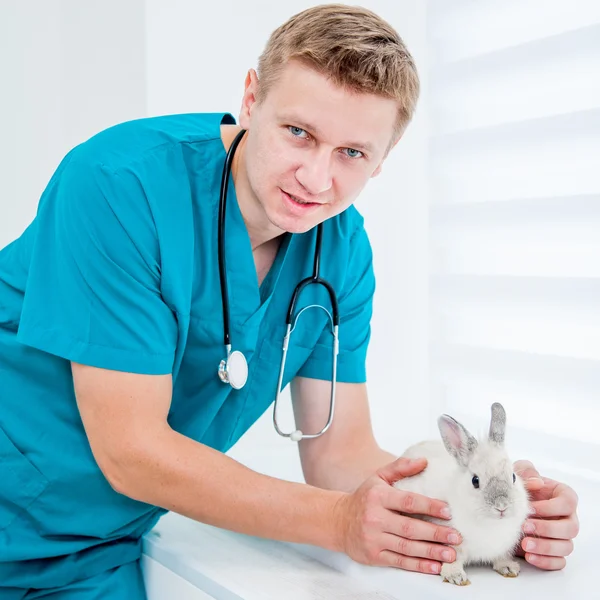 Doctor veterenarii with a rabbit — Stock Photo, Image