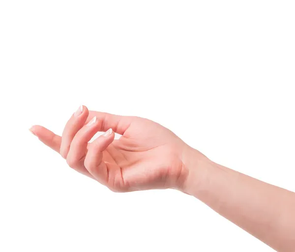 Close-up of beautiful woman's hand Stock Photo