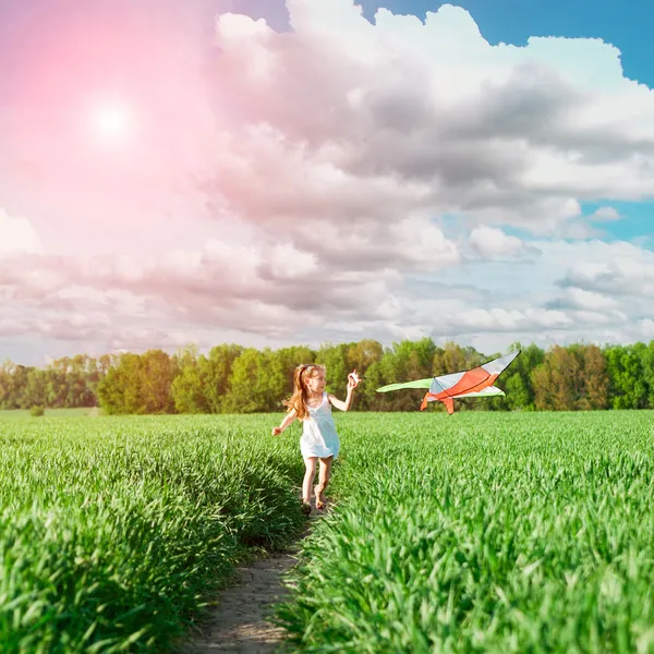 Cute little girl flies a kite — Stock Photo, Image