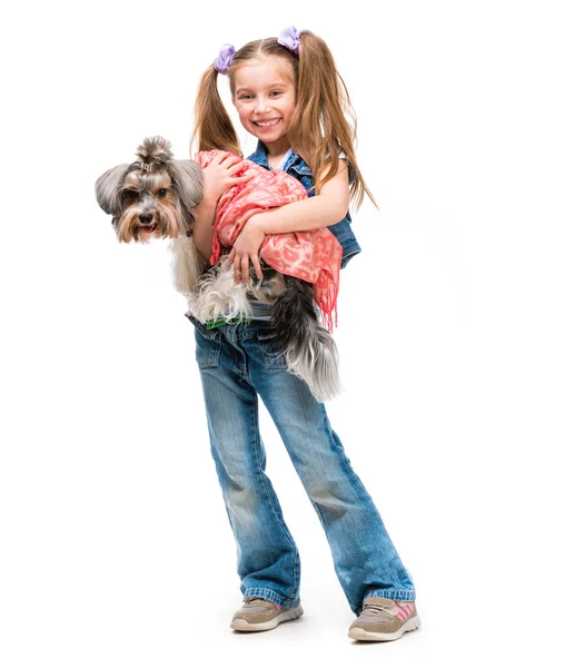 Niña está con su perro Yorkshire Terrier —  Fotos de Stock