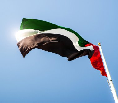 United Arab Emirates flag clipart