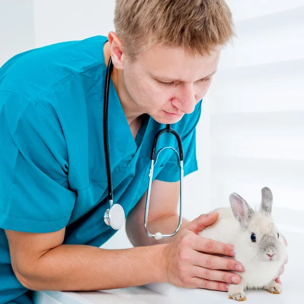 Medico veterenarii con un coniglio — Foto Stock