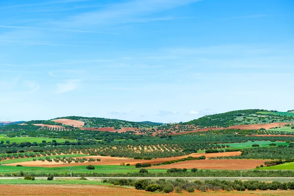 Campi pittoreschi — Foto Stock