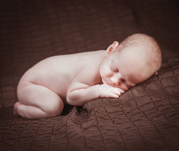Beautiful newborn baby sleeping Royalty Free Stock Photos