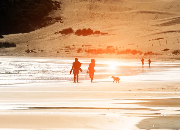 Pareja paseando perro en la playa — Foto de Stock