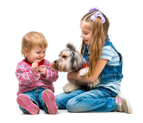 Sisters with Yorkshire Terrier dog — Stock Photo, Image