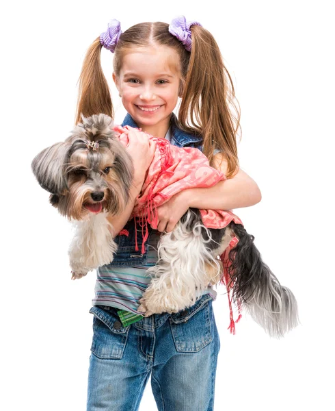 Fille avec Yorkshire Terrier chien — Photo