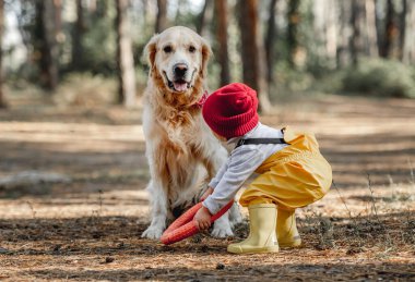 Ormanda Golden Retriever köpeği olan küçük bir kız