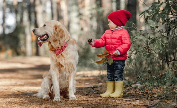 Bambino con cane golden retriever — Foto Stock