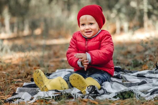 Little girl walking in the forest — Stock Photo, Image