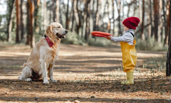 Menina com cão golden retriever na floresta — Fotografia de Stock