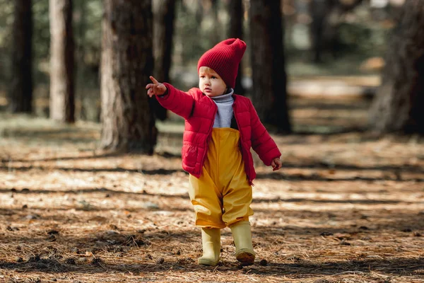 Little girl walking in the forest — Stock Photo, Image