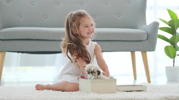Дитяча дівчинка з лялькою кошенята — стокове відео