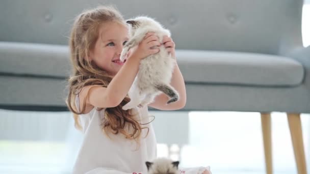 래그돌 고양이를 데리고 있는 어린 소녀 — 비디오
