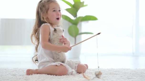 Дитяча дівчинка з лялькою кошеня — стокове відео