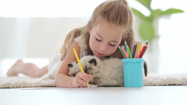 Kind meisje met ragdoll kittens — Stockvideo