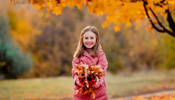 Niña preadolescente en el parque de otoño —  Fotos de Stock