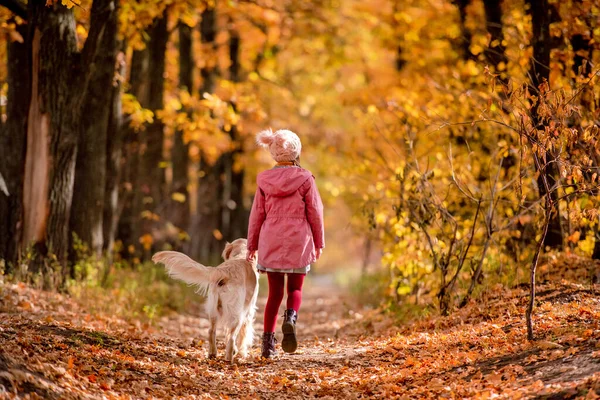 Preteen kid und Golden Retriever Hund — Stockfoto