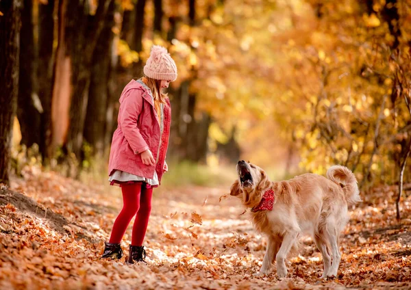 Preteen criança e golden retriever cão — Fotografia de Stock