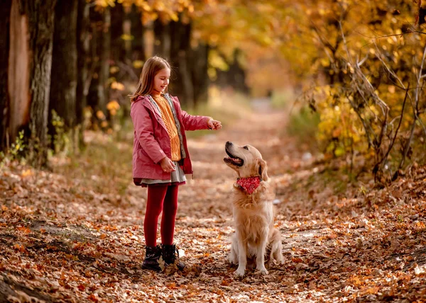 Preteen criança e golden retriever cão — Fotografia de Stock