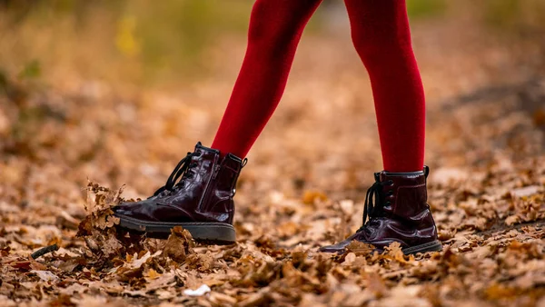 Preteen unge och golden retriever hund — Stockfoto