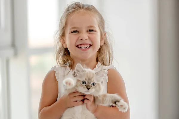 Girl with ragdoll kitten — Stock Photo, Image