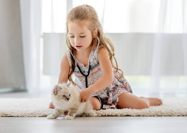 Menina com ragdoll gatinho — Fotografia de Stock