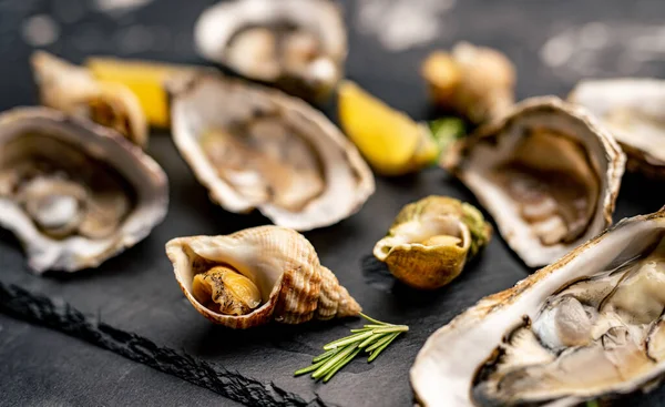 Set of oysters and snails on black platter — Stock Photo, Image