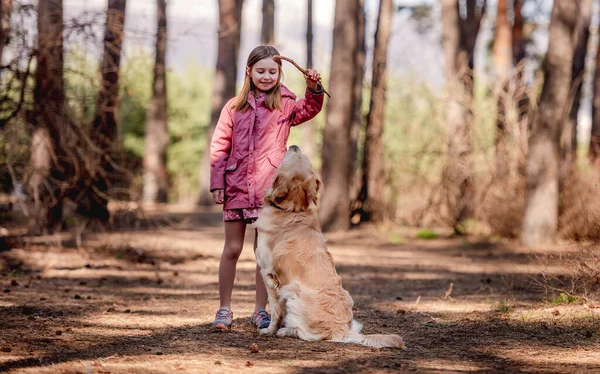 Liten flicka med golden retriever hund i skogen — Stockfoto