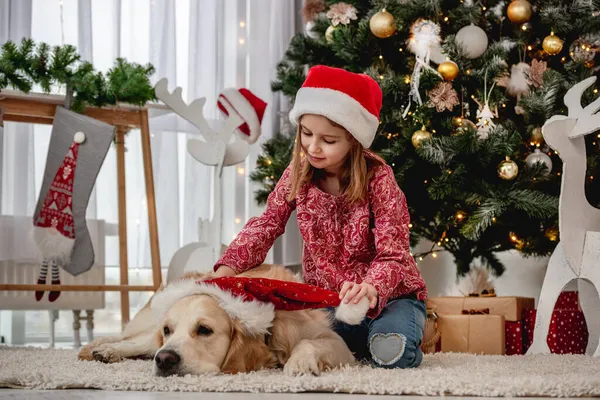 Bambina che mette il cappello di Babbo Natale sul cane — Foto Stock