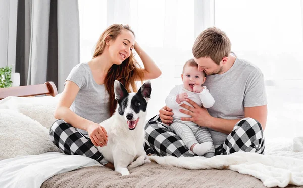 Yatakta köpekli bir aile — Stok fotoğraf