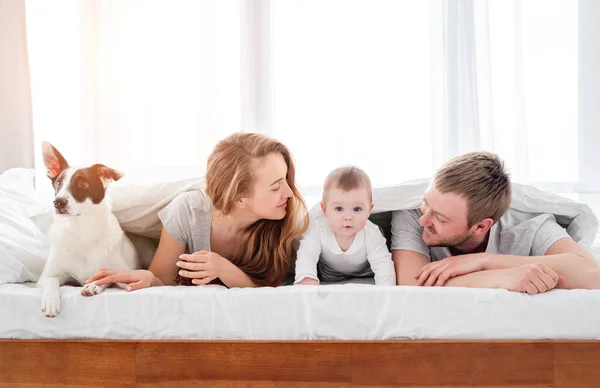 Famiglia con cane nel letto — Foto Stock