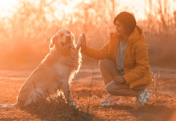 Flicka med golden retriever hund — Stockfoto