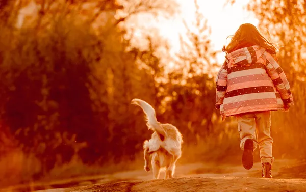 Dziewczyna z psem golden retriever — Zdjęcie stockowe