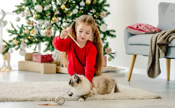 Noel 'de oyuncak kedisi olan bir çocuk — Stok fotoğraf