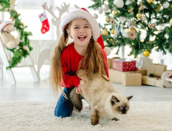 Gyerek -val rongybaba macska -ban Karácsony idő — Stock Fotó