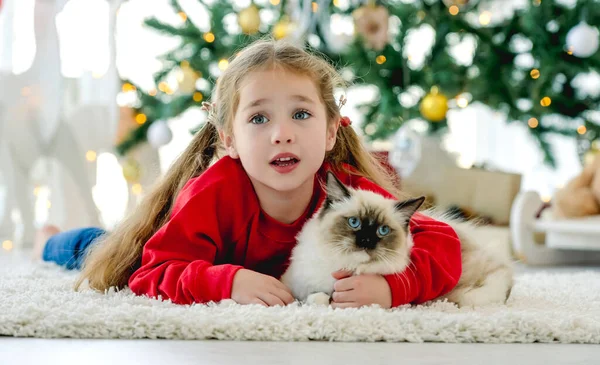 クリスマスの時間にラグドール猫と子供 — ストック写真
