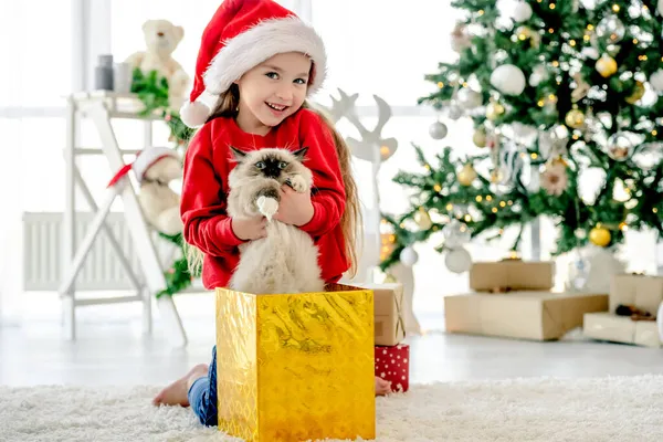 Noel 'de oyuncak kedisi olan bir çocuk — Stok fotoğraf