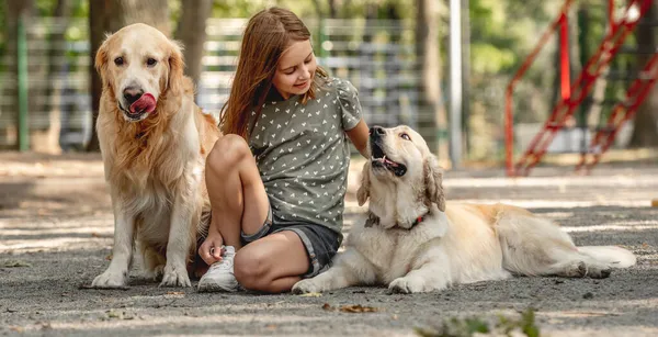 Κορίτσι με δύο χρυσά σκυλιά ριτρίβερ — Φωτογραφία Αρχείου