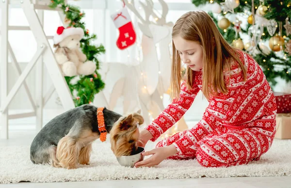 Niño en Navidad —  Fotos de Stock