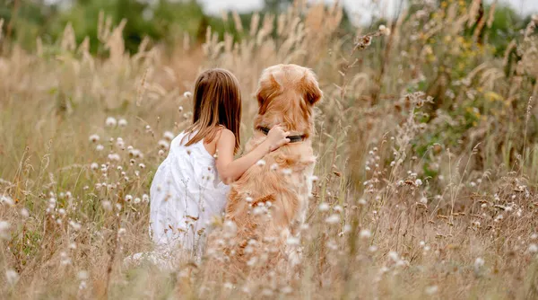 Lány arany retriever kutya — Stock Fotó