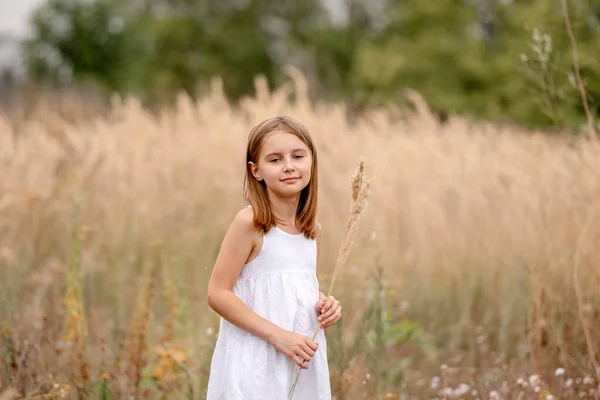 Peuter meisje in het veld — Stockfoto
