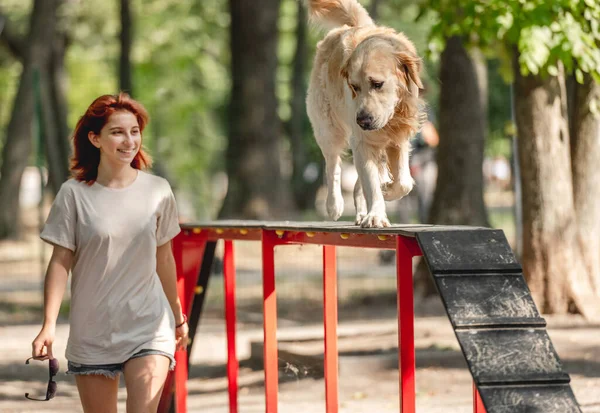 Flicka med golden retriever hund — Stockfoto