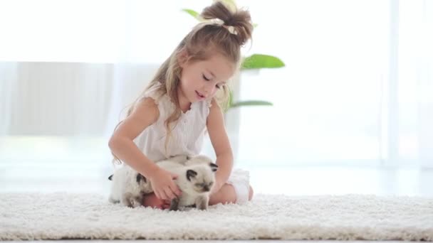 Дитяча дівчинка з лялькою кошенята — стокове відео