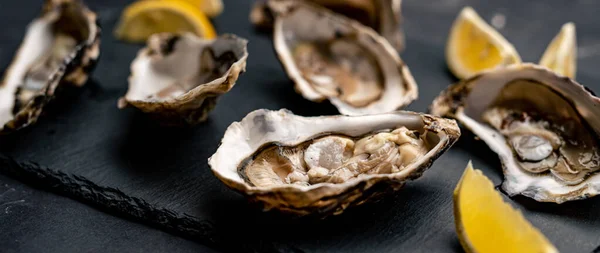 Oysters with lemon on platter — Stock Photo, Image