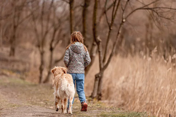 Golden retriever köpeği olan küçük bir kız. — Stok fotoğraf