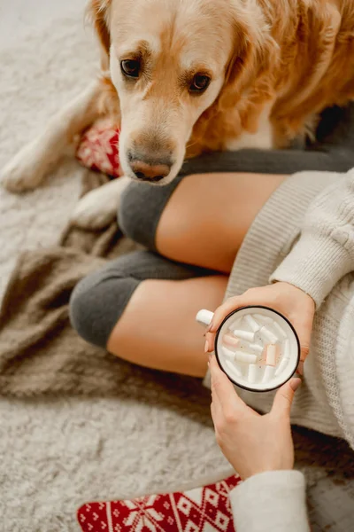 Дівчина з какао і золотим собакою-ретривером — стокове фото